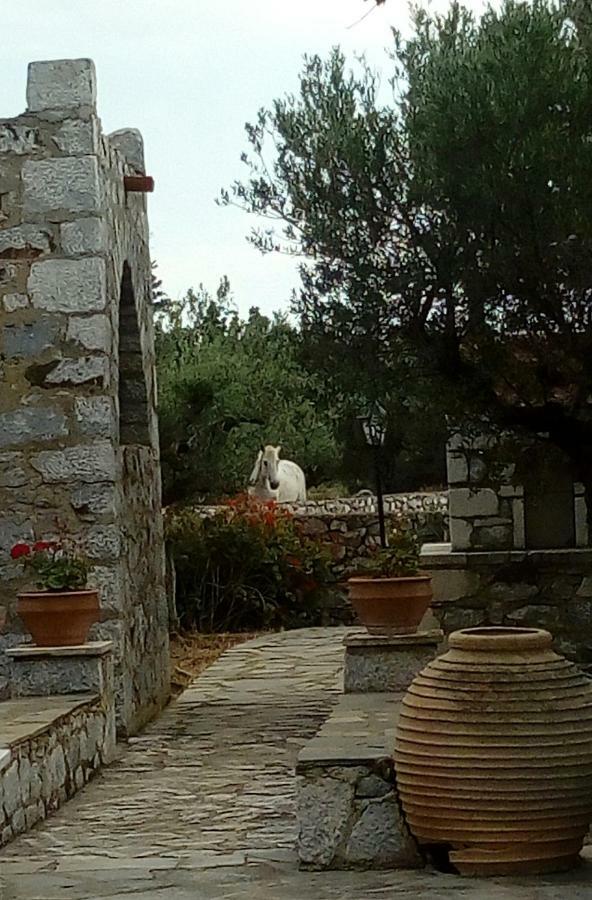 Charouda Stone Tower Διαμέρισμα Pírgos Dhiroú Εξωτερικό φωτογραφία