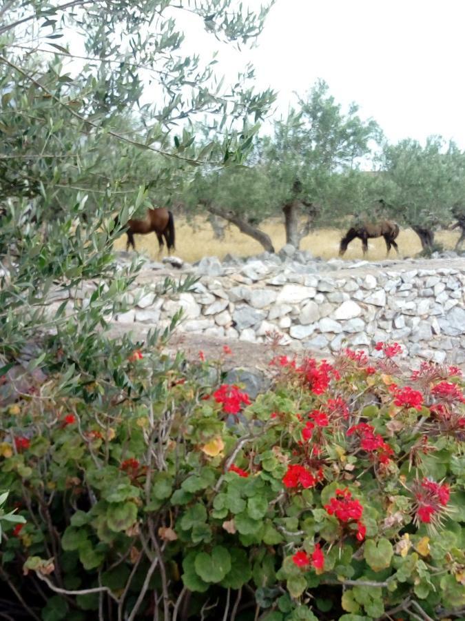 Charouda Stone Tower Διαμέρισμα Pírgos Dhiroú Εξωτερικό φωτογραφία